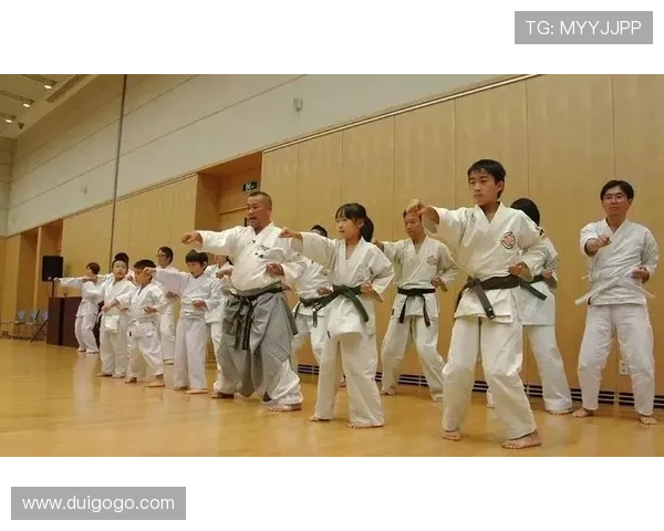 初学者如何轻松入门空手道并稳步提升基础技能的全方位实用指南